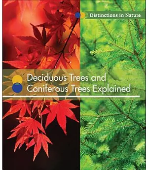 Deciduous Trees and Coniferous Trees Explained