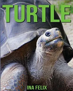 Turtle: Children Book of Fun Facts & Amazing Photos on Animals in Nature