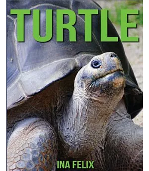 Turtle: Children Book of Fun Facts & Amazing Photos on Animals in Nature