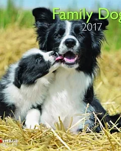 Family Dogs A&I 2017 Calendar