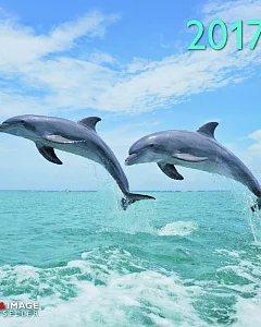 Dolphins A&I 2017 Calendar