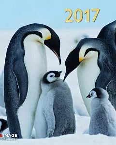 Penguins 2017 Calendar