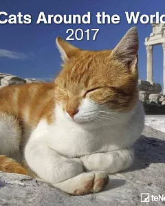 Cats Around the World