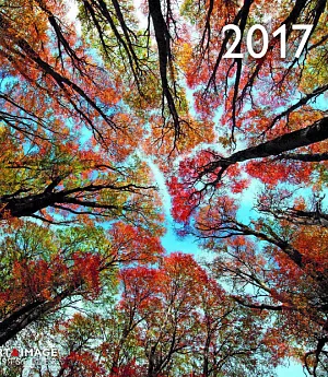 Forest A&I 2017 Calendar