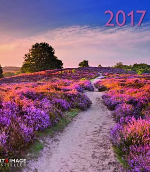 Paths A&I 2017 Calendar