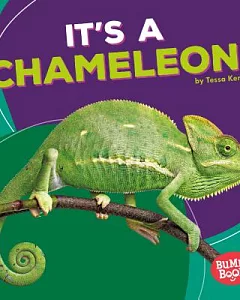 It’s a Chameleon!