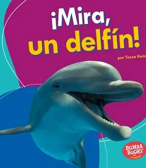 Mira, un delfín! / Look, a Dolphin!