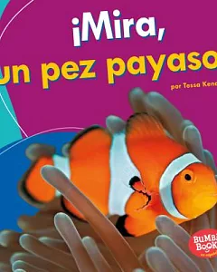 Mira, un pez payaso! / Look, a Clown Fish!