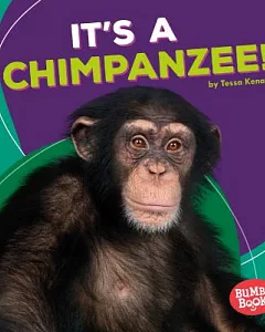It’s a Chimpanzee!