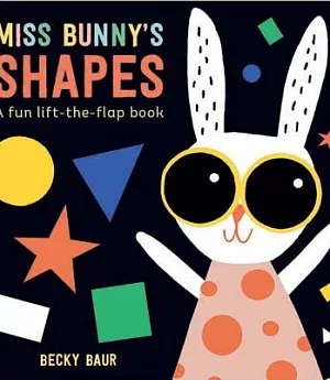 Miss Bunny’s Shapes
