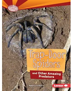 Trap-Door Spiders and Other Amazing Predators