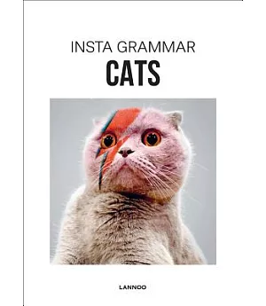 Insta Grammar Cats