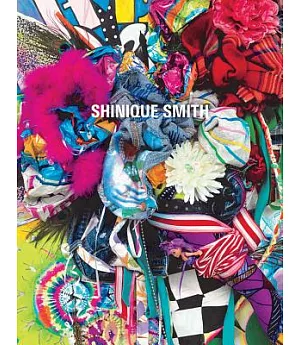 Shinique Smith: Wonder and Rainbows