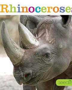 Rhinoceroses