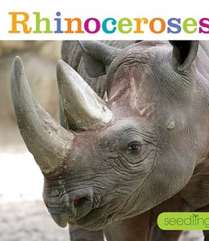 Rhinoceroses