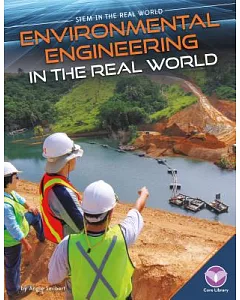 Environmental Engineering in the Real World