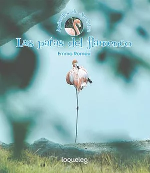 Las patas del flamenco/ The Flamingo’s Legs