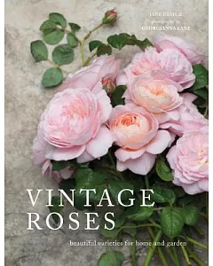 Vintage Roses: Beautiful Varieties for Home and Garden