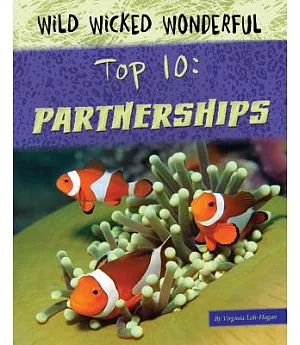 Top 10 Partnerships