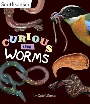Curious About Worms