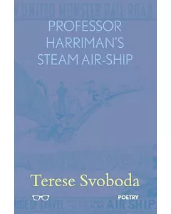Professor Harriman’s Steam Air-Ship