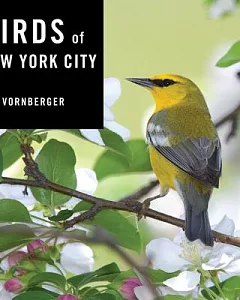 Birds of New York City