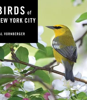 Birds of New York City