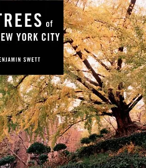Trees of New York City
