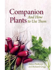 Companion Plants and How to Use Them