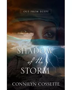 Shadow of the Storm