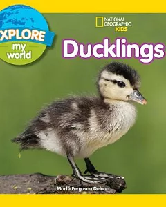 Ducklings