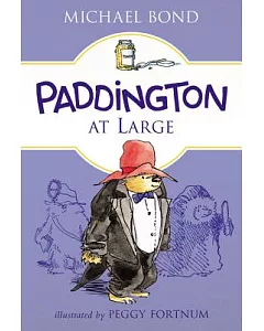 Paddington at Large