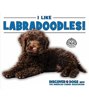 I Like Labradoodles!