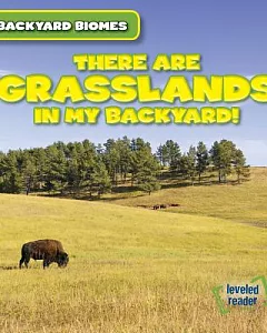 There Are Grasslands in My Backyard!