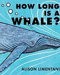 How Long Is a Whale?