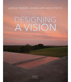Designing a Vision