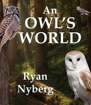 An Owl’s World