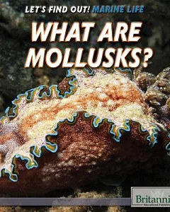 What Are Mollusks?