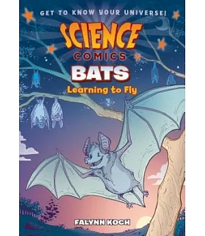 Bats: Learning to Fly