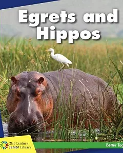 Egrets and Hippos