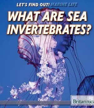 What Are Sea Invertebrates?