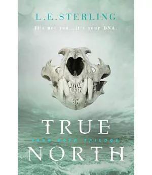 True North