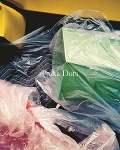 Carol Bove: Polka Dots