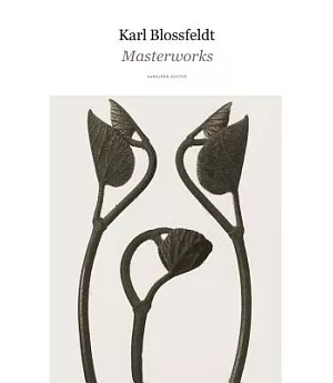 Karl Blossfeldt: Masterworks