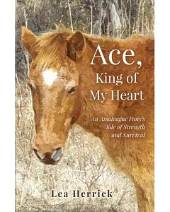 Ace, King of My Heart: An Assateague Pony’s Tale of Strength and Survival
