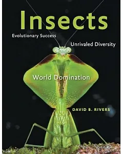 Insects: Evolutionary Success, Unrivaled Diversity, and World Domination