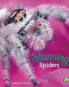Stunning Spiders