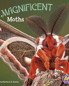 Magnificent Moths