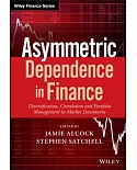 Assymetric Dependence in Finance: Diversification, Correlation and Portfolio Management in Market Downturns