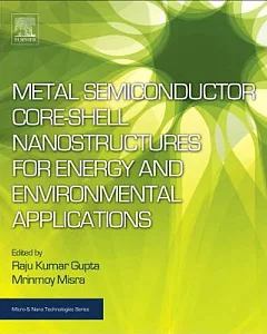 Metal Semiconductor Core-Shell Nanostructures for Energy and Environmental Applications